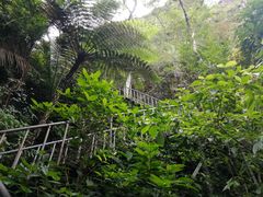 -七仙岭温泉国家森林公园