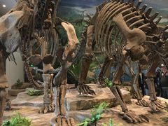 -自贡恐龙博物馆