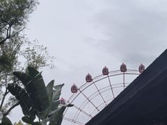 -柳州市动物园