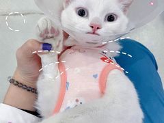 -北京恒爱动物医院(清景园分院)