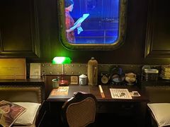 -武汉知音号