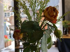 -251#coffee roasters(沿河东路店)