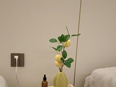 -小隐·采耳头疗spa(环宇城店)