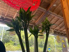 -芦茨金富饭庄·25年老字号·专做稻草鸡