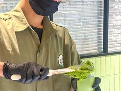 -鹤茶野所(上海首店)
