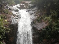 -九龙江国家森林公园