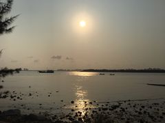 -东郊椰林