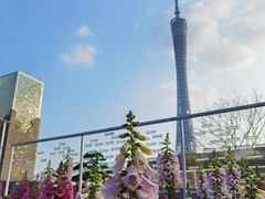 -海心沙亚运公园