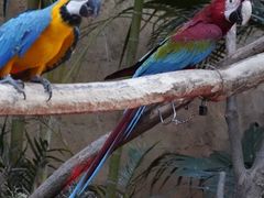 -杭州开元森泊度假乐园