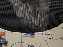 -pd派德宠物中心医院24H急重症·眼科中心·血液透析中心(嵩山北路店)