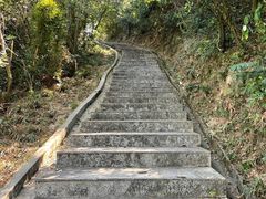 -火炉山森林公园