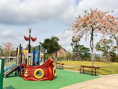-白石龙音乐公园