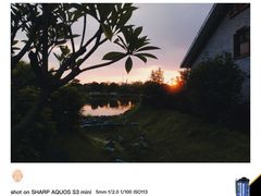 -王借岗森林公园
