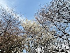 -南浦大桥长途旅游客运站