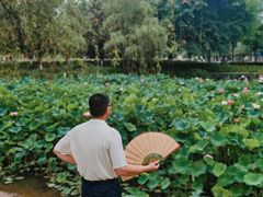 -沐仙湖湿地公园