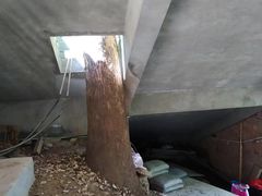 -超山青莲寺
