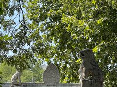 -魏家凉皮(博水商务大厦店)