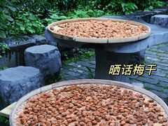 -黄姚古镇