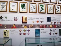 -北京中医药大学-中医药博物馆