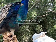 -宁波野生动物园