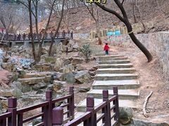 -北京西山国家森林公园