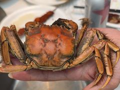 -半岛听涛蒸汽海鲜自助(K11店)