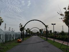 -菊园百果园