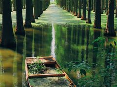 -渌洋湖湿地公园