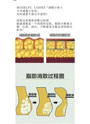 -Fundi张玉珊修身堂·indiba·BTL科技瘦身