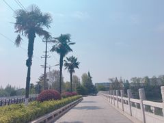 -襄阳城墙
