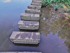 -重庆彩云湖湿地公园