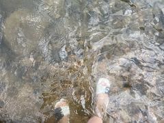 -广州市流溪河国家森林公园
