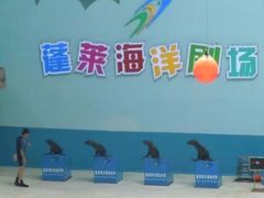 -蓬莱欧乐堡海洋极地世界
