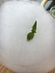 -悦诗风吟innisfree