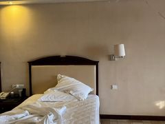 -随州碧桂园凤悦凤凰酒店