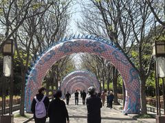 -洛阳市隋唐城遗址植物园