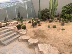 -狼山风景名胜区