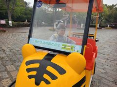 -上海野生动物园老虎餐厅