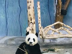 -海南热带野生动植物园
