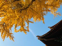 -宝通禅寺