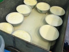 -德禄酸奶(莫家街店)