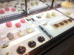 -sugarman espresso素饮糖人高新咖啡工厂