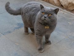 -李叔同故居纪念馆