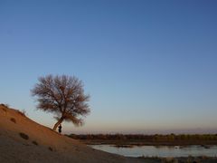 -伊犁河风景区
