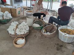 -马陆小张葡萄园农家乐