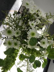 -HEYAN荷妍专业脱毛连锁机构