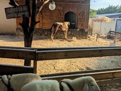 -HERRE·FARM 赫尔露营农场·团建聚会包场