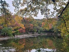 -灵谷景区