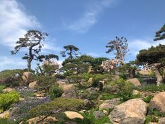 -罗红摄影艺术馆