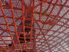 -枫香湖儿童公园